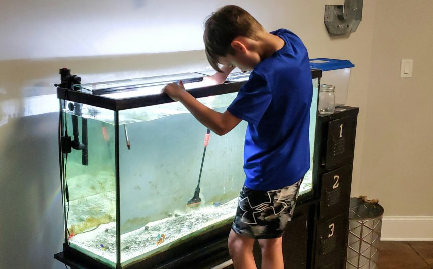 Responsible Gen z kid keeping large fish aquarium cleaned in people and pets from behind.